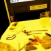 ANA / 全日空の機内食の写真